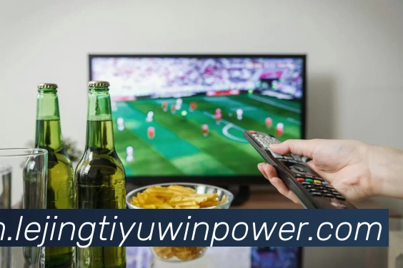 多媒体互动体验